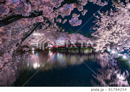 弘前公園夜景　春陽橋　夜桜リフレクション　青森県弘前市弘前公園 91794254