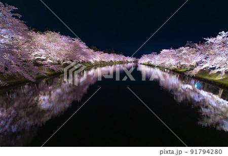 弘前公園夜景　西濠　夜桜リフレクション　青森県弘前市弘前公園 91794280