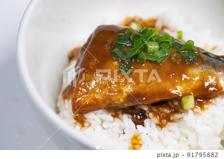 ネギをのせた鯖味噌丼　写真素材 91795882