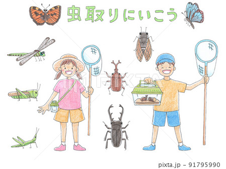 虫取に行く男の子と女の子　カラー 91795990