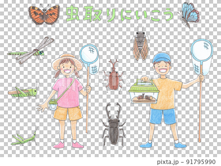 虫取に行く男の子と女の子　カラー 91795990