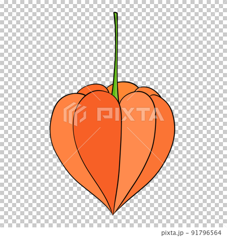 Hozuki (black line) 91796564