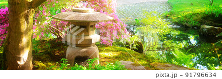 japanese garden in The Hague 91796634