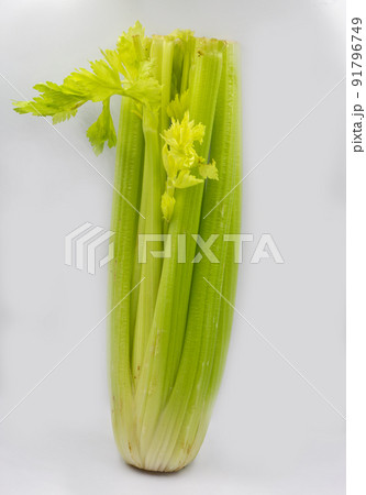 Petiole celery closeup on white 91796749