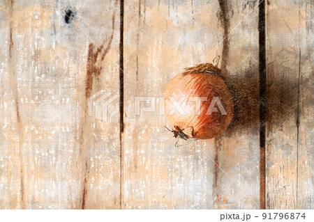 Ripe brown bulb against wooden background. Unpeeled vegetable in brown rind. Digital watercolor painting 91796874