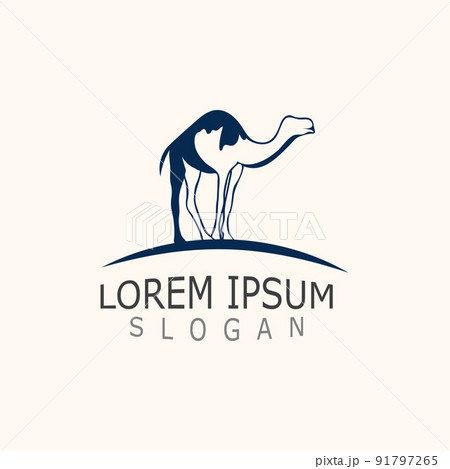Vector Camel icons and logo design elements labels template vintage 91797265