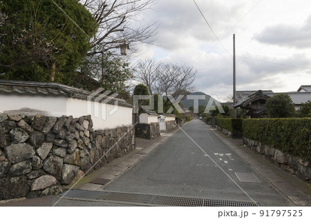 漆喰の白壁の武家屋敷と生垣が長く続いている早春の城下町萩 漆喰の白壁の武家屋敷と生垣が長く続いている早春の城下町萩 91797525