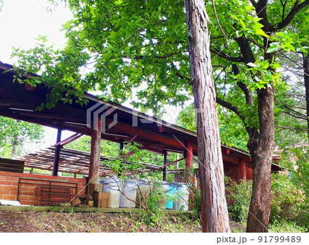 炊事場　裏側 91799489