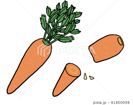 にんじんのイラスト 91800098
