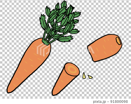 Illustration of carrot Illustration of carrot 91800098