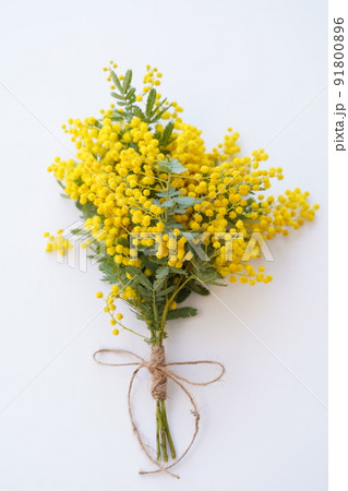 束ねたミモザ 91800896