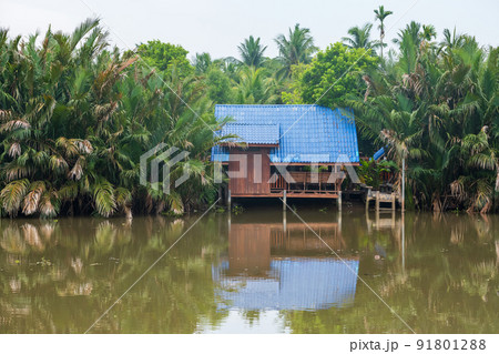 Thai wooden house by river in Amphawa, Samut Songkhram 91801288