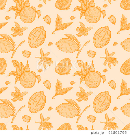 Engraving lemons seamless pattern. Vintage background with whole lemon, sliced, half, leaf, flowers and seed in hand drawn style. 91801796