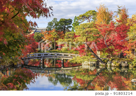 京都市左京区　永観堂の紅葉 91803214