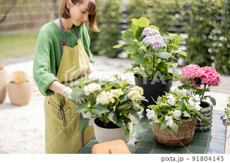 Young woman taking care of flowers in the garden 91804145