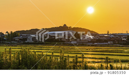 小牧山城の見える農業地域の朝の景色の写真素材 [91805350] - PIXTA