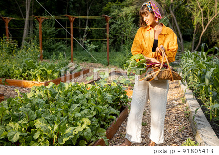 Young farmer with freshly picked vegetables at garden 91805413