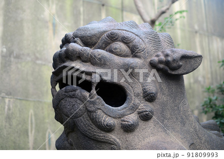 大阪若宮商工稲荷神社の狛犬-1 大阪若宮商工稲荷神社の狛犬-1 91809993