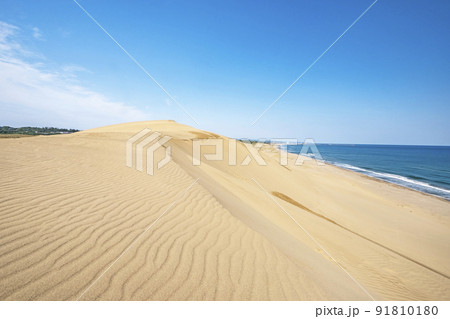 砂嵐で出来た風紋（鳥取砂丘） 91810180