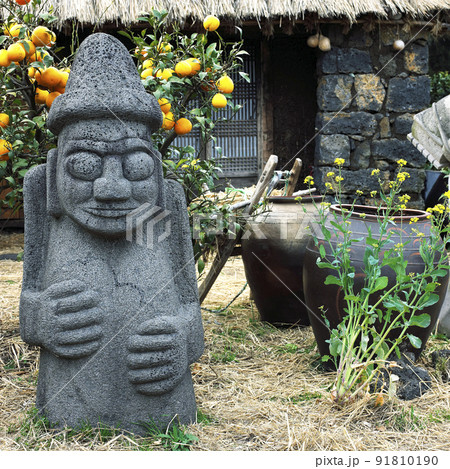 柑橘 済州 済州島 91810190