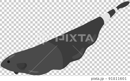 Knife Fish Stock Illustrations – 14,080 Knife Fish Stock