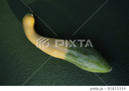 南国野菜・ツートンカラーのイエローズッキーニ 南国野菜・ツートンカラーのイエローズッキーニ 91813334