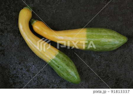 南国野菜・ツートンカラーのイエローズッキーニ 南国野菜・ツートンカラーのイエローズッキーニ 91813337