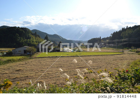 伊藤博文公生誕地の田園風景(山口県光市) 伊藤博文公生誕地の田園風景(山口県光市) 91814448