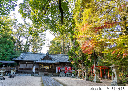 三重県亀山市 紅葉の美しい亀山神社の境内 三重県亀山市 紅葉の美しい亀山神社の境内 91814943