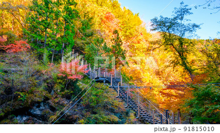 大柳川渓谷（秋）：竜神橋 91815010