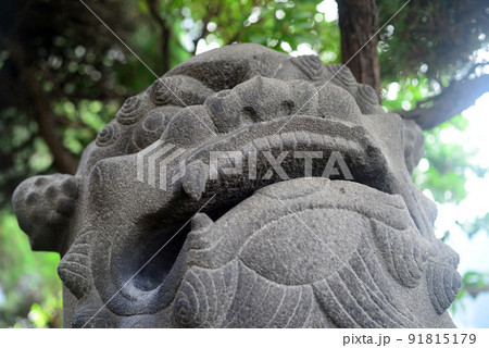 大阪若宮商工稲荷神社の狛犬-4 大阪若宮商工稲荷神社の狛犬-4 91815179