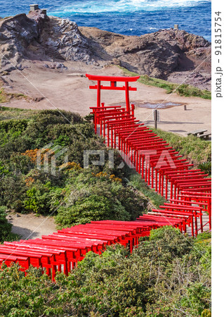 山口県/ 新緑の元乃隅神社（鳥居） 91815754