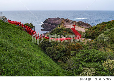 山口県/ 新緑の元乃隅神社（鳥居） 91815765