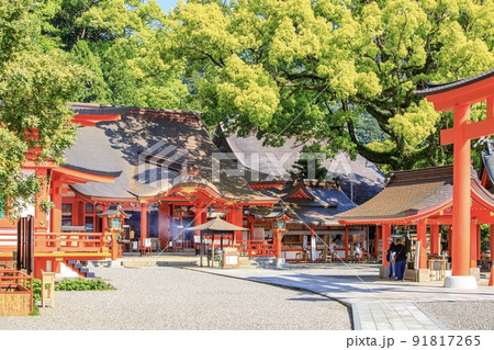 世界遺産熊野古道　熊野那智大社 91817265