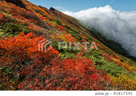 雲湧く紅葉の谷川岳稜線 91817345