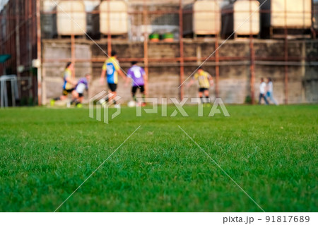 grass in the football field grass in the football field 91817689