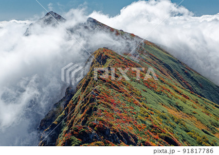 一ノ倉岳から見る紅葉の谷川岳と雲海 91817786