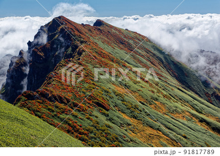 一ノ倉岳から見る紅葉の谷川岳と雲海 一ノ倉岳から見る紅葉の谷川岳と雲海 91817789