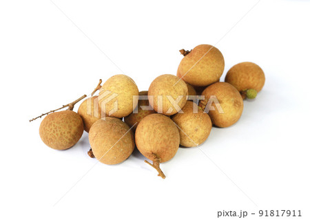 longan the fruit in tropical 91817911