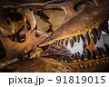 恐竜 91819015