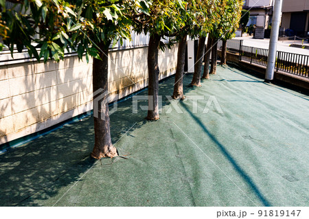 緑地帯の雑草対策　防草シート 91819147