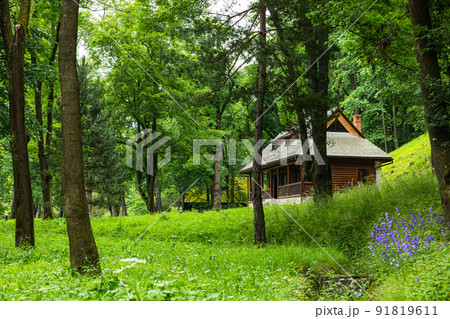 ルーマニア トランシルヴァニア地方にあるドラキュラ城のモデルになったブラン城敷地内にある公園 ルーマニア トランシルヴァニア地方にあるドラキュラ城のモデルになったブラン城敷地内にある公園 91819611
