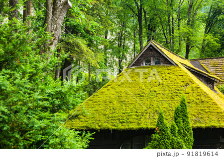 ルーマニア　トランシルヴァニア地方のドラキュラ城のモデルになったブラン城敷地内にある公園の小屋 91819614