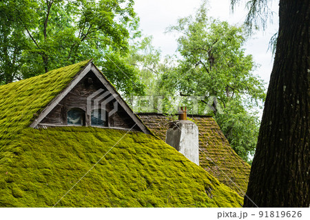 ルーマニア トランシルヴァニア地方のドラキュラ城のモデルになったブラン城敷地内にある公園の小屋 ルーマニア トランシルヴァニア地方のドラキュラ城のモデルになったブラン城敷地内にある公園の小屋 91819626
