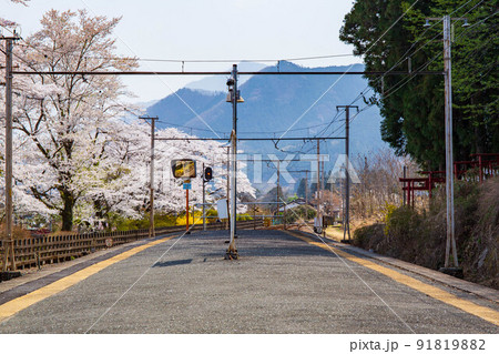 埼玉秩父の春　秩父鉄道　武州日野駅を舞う桜吹雪 91819882