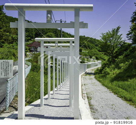 済渡寺 千本鳥居 岡山県新見市 済渡寺 千本鳥居 岡山県新見市 91819916