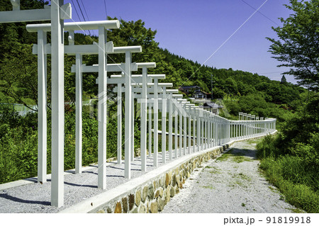 済渡寺 千本鳥居 岡山県新見市 済渡寺 千本鳥居 岡山県新見市 91819918