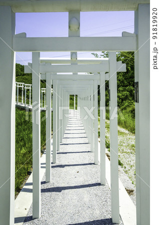 済渡寺 千本鳥居 岡山県新見市 済渡寺 千本鳥居 岡山県新見市 91819920