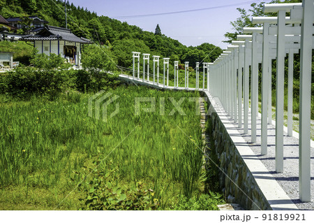 済渡寺 千本鳥居 岡山県新見市 済渡寺 千本鳥居 岡山県新見市 91819921