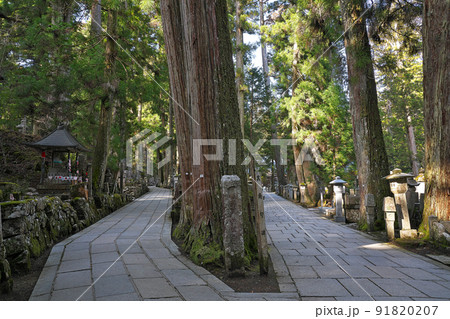 【高野山 奥の院】 和歌山県伊都郡高野町高野山 【高野山 奥の院】 和歌山県伊都郡高野町高野山 91820207